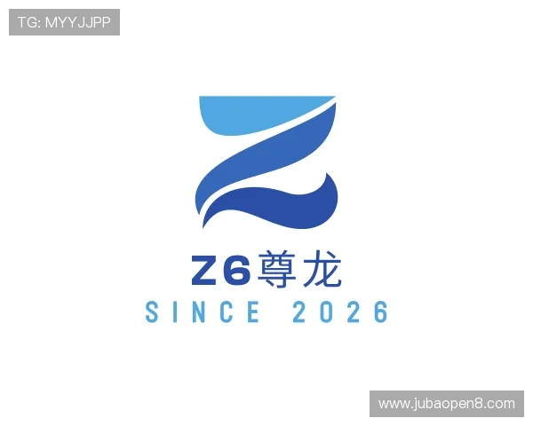 关于Z6尊龙