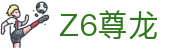 尊龙·Z6 (中国认证)集团有限公司官网